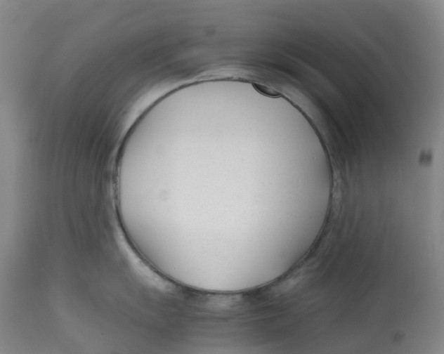 X0000113151055200910021458