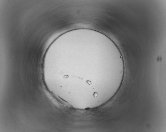 X0000113151056200910021458