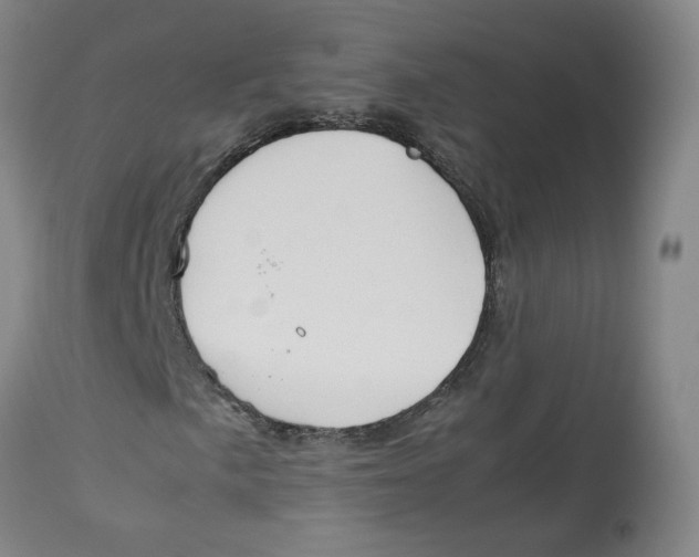 X0000113151057200910021457