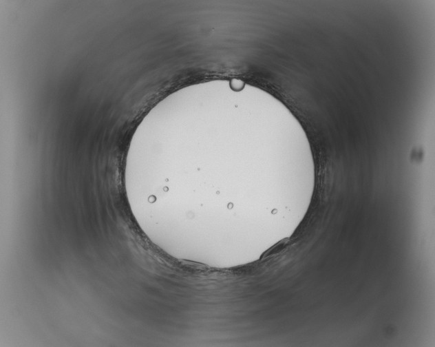 X0000113151058200910021457