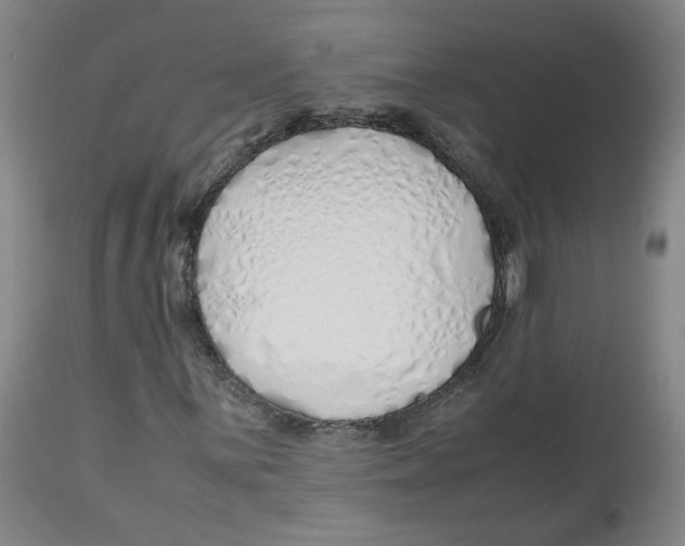 X0000113151059200910021457