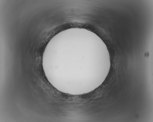 X0000113151061200910021457