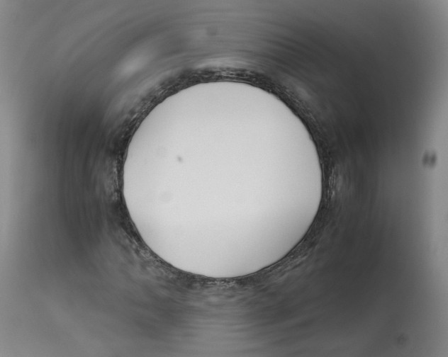 X0000113151062200910021457