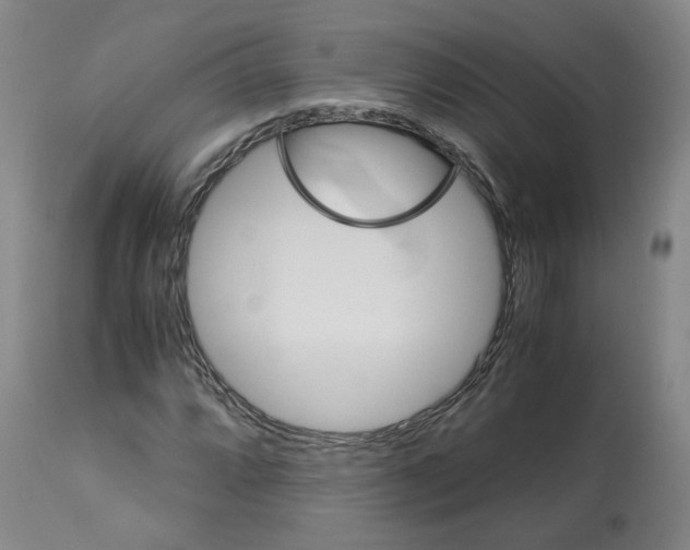 X0000113151064200910021457