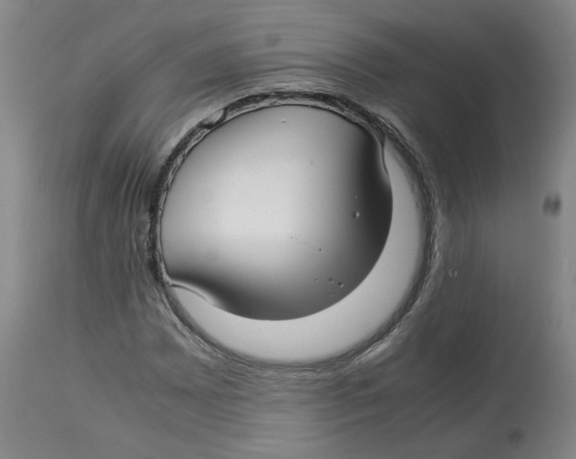 X0000113151065200910021457