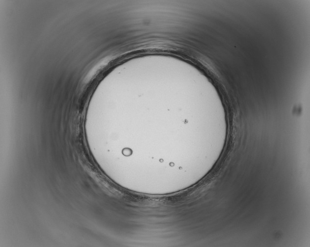 X0000113151067200910021457