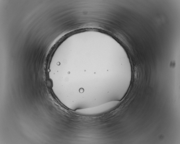 X0000113151068200910021457