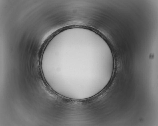 X0000113151070200910021457