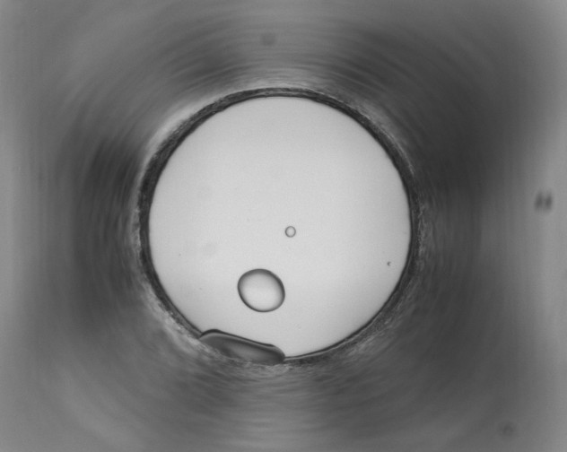 X0000113151072200910021457