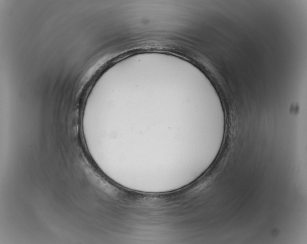 X0000113151075200910021457