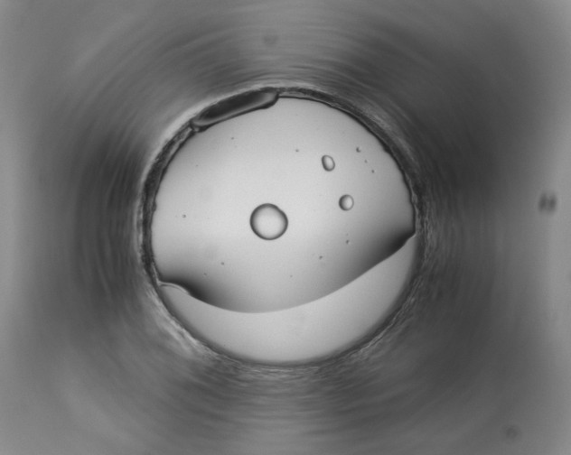 X0000113151076200910021457