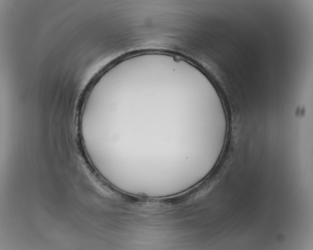 X0000113151077200910021457