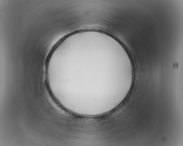 X0000113151079200910021457