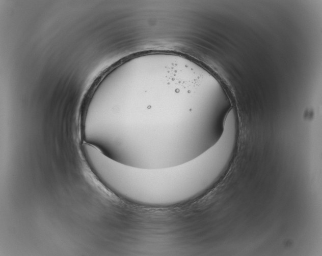 X0000113151080200910021457