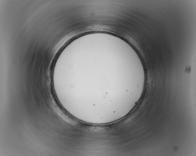 X0000113151082200910021457