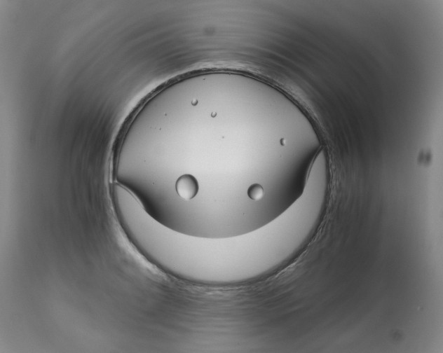 X0000113151084200910021457