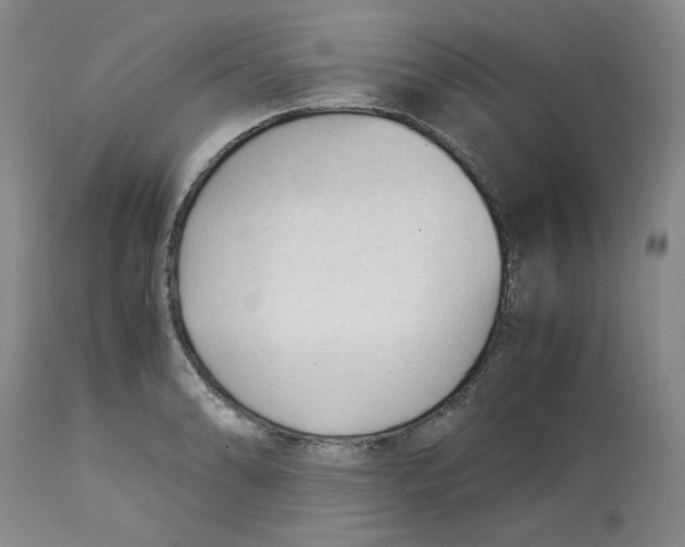 X0000113151086200910021457