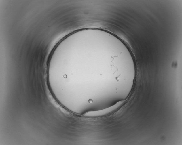 X0000113151088200910021457