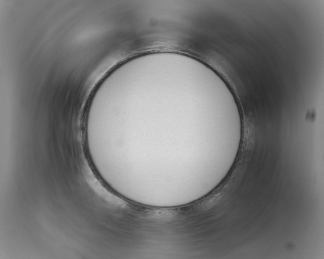 X0000113151090200910021457