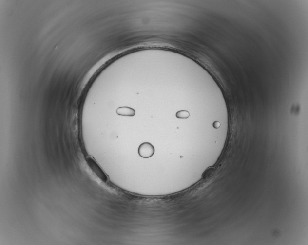 X0000113151092200910021457