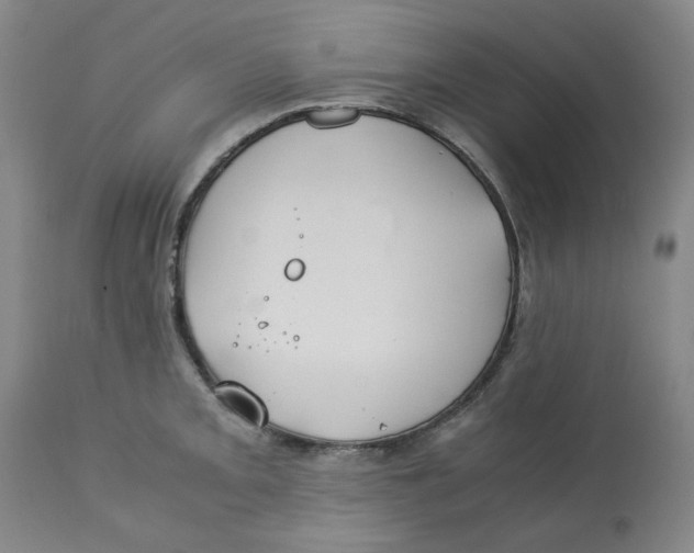 X0000113151093200910021457