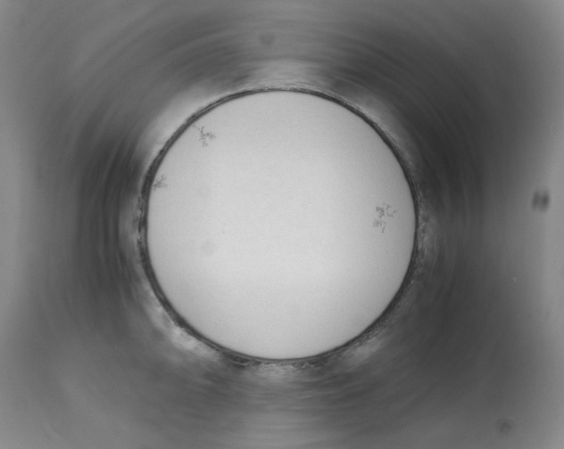 X0000113151094200910021457