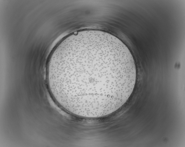 X0000113151095200910021457