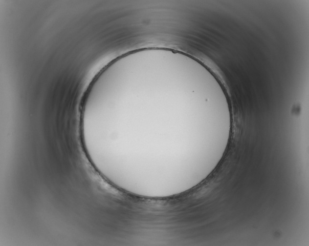 X0000113151096200910021457