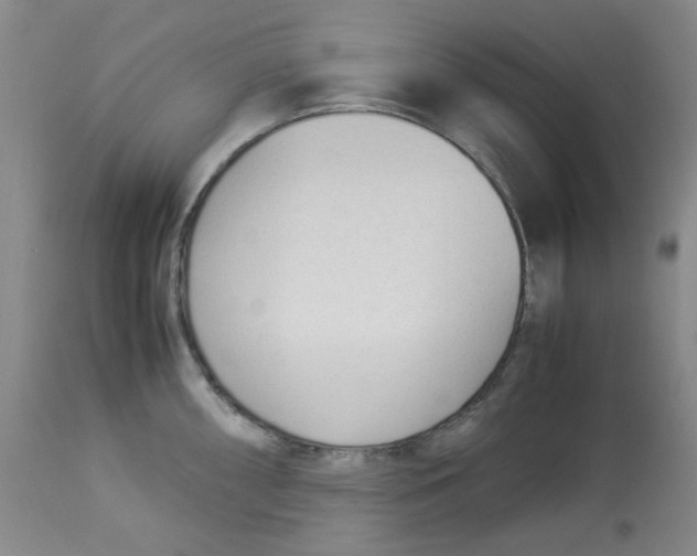 X0000113151098200910021457