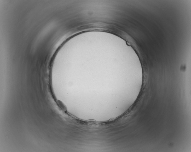 X0000113151099200910021457