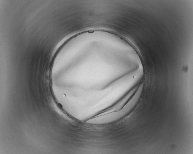 X0000113151100200910021457