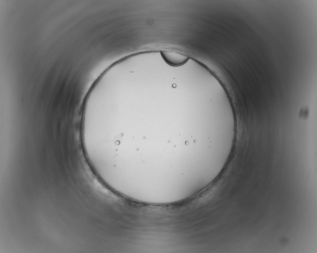 X0000113151102200910021457