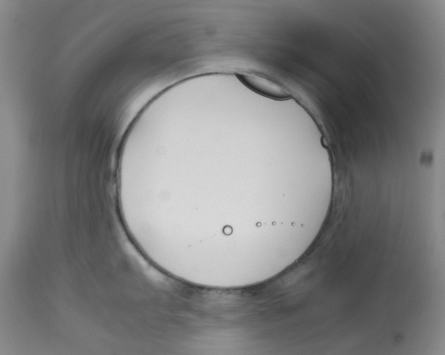 X0000113151103200910021457