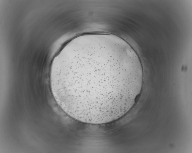 X0000113151104200910021457