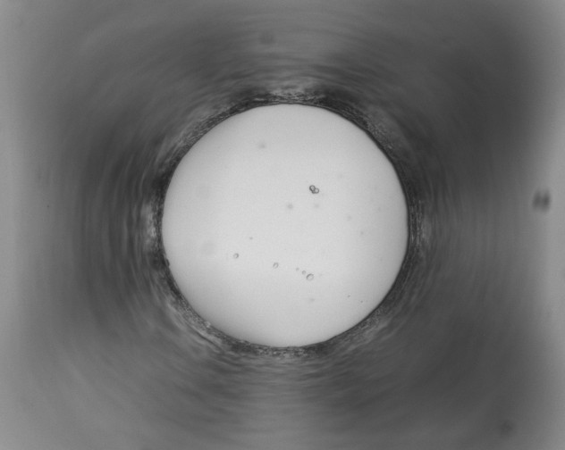 X0000113151106200910021456