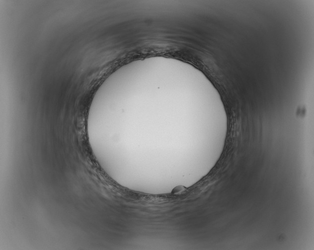 X0000113151109200910021456