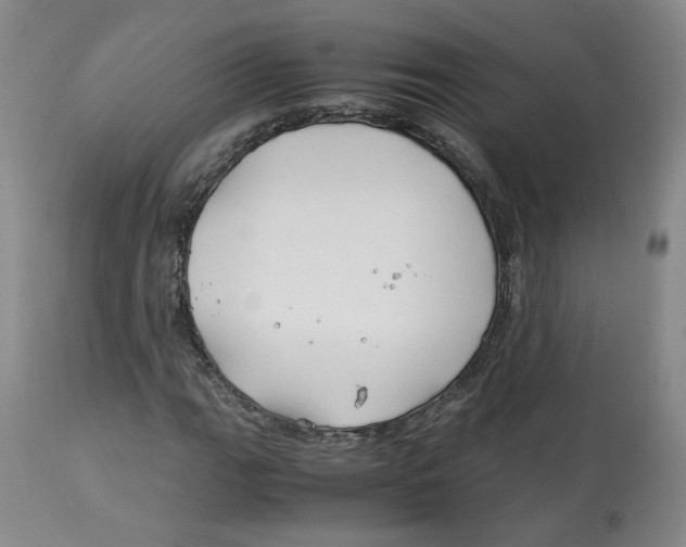 X0000113151111200910021456