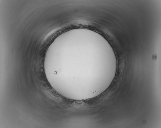 X0000113151112200910021456