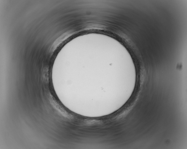 X0000113151113200910021456