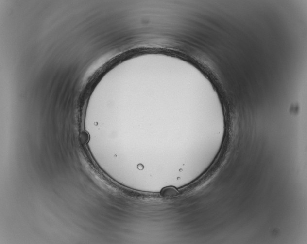 X0000113151114200910021456