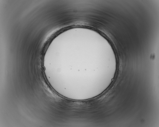 X0000113151115200910021456