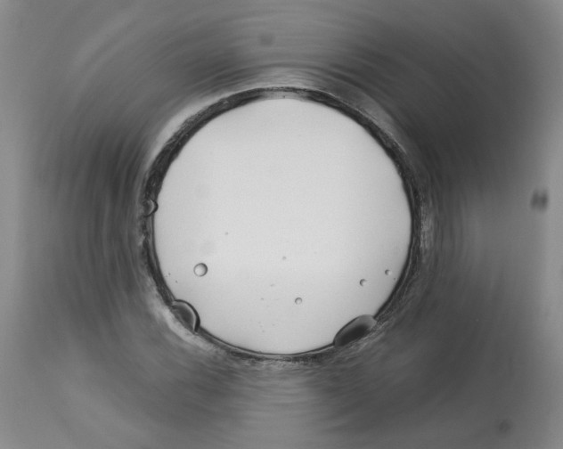 X0000113151116200910021456