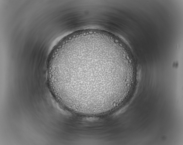 X0000113151117200910021456