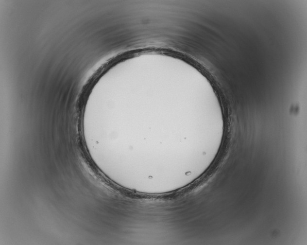 X0000113151118200910021456