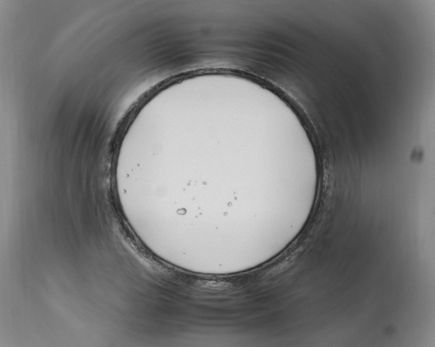 X0000113151119200910021456