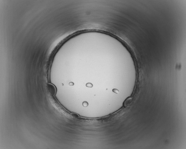 X0000113151120200910021456