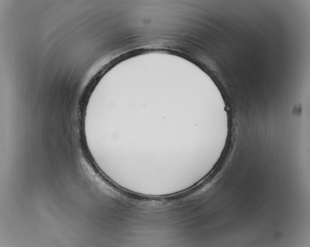 X0000113151122200910021456