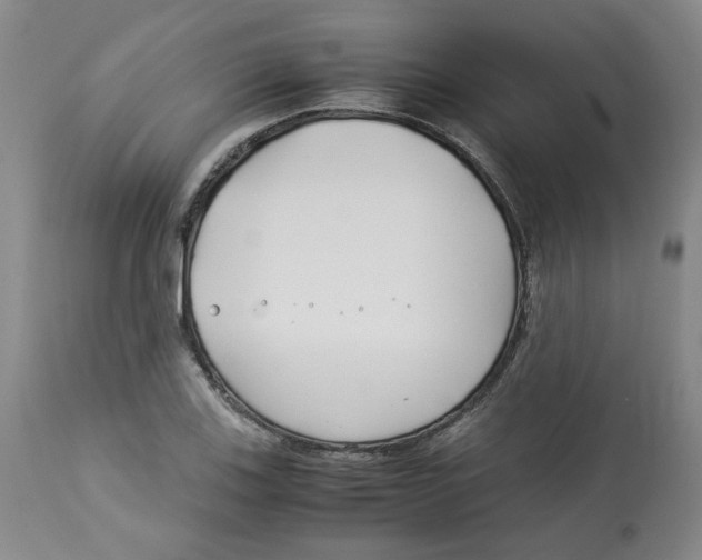 X0000113151123200910021456