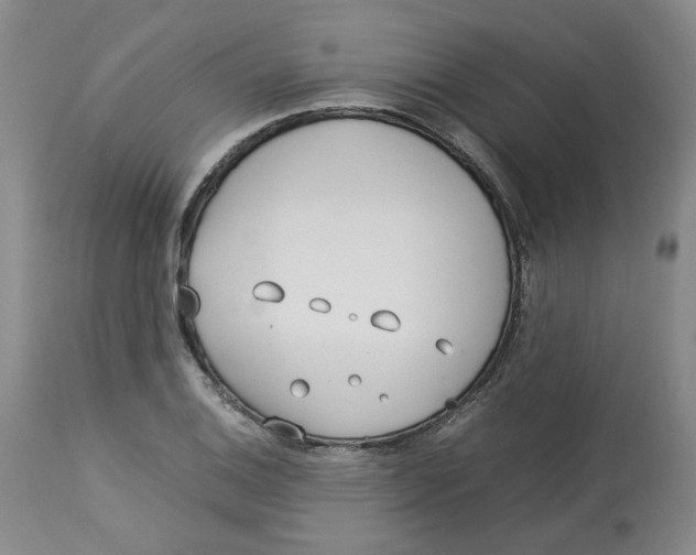 X0000113151124200910021456