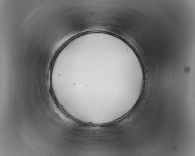 X0000113151127200910021456